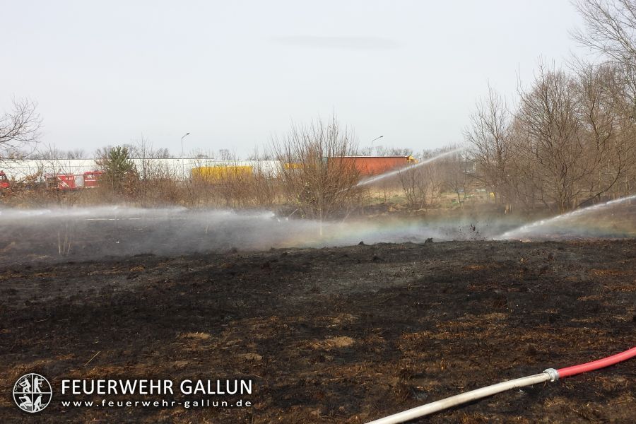 Einsatz 14-2015